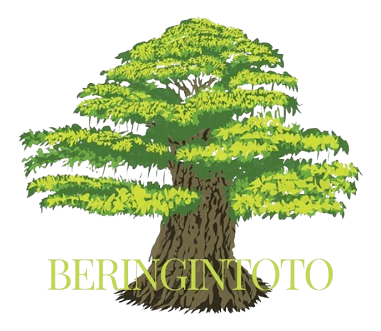 beringintoto